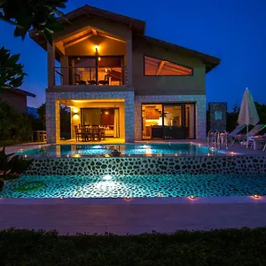 Volans , Fethiye Turkey